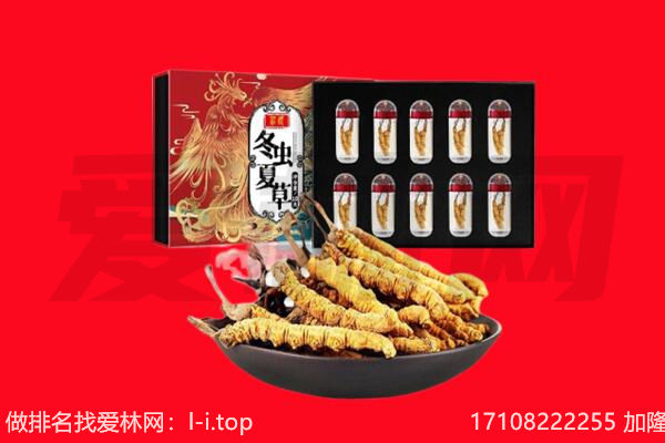 大理回收虫草.jpg